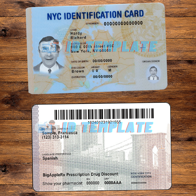 New York ID Card PSD Template | Driving license Template