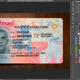 Texas ID Card 8